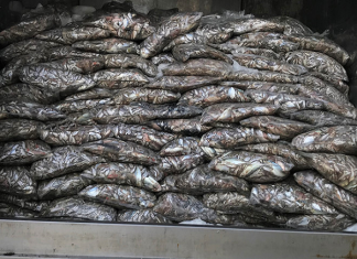 Bắt xe tải chở 3,5 tấn cá thối ở Đà Nẵng