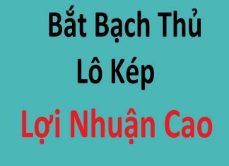 cach-bat-bach-thu-lo-kep
