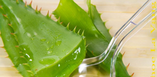 Cách làm đẹp bằng nha đam, đơn giản hiệu quả