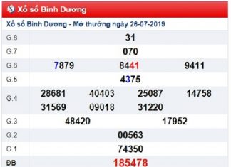 soi-cau-binh-duong-02-08