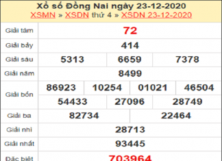 Tổng hợp dự đoán KQXSDN ngày 30/12/2020- xổ số đồng nai