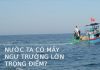 Nước ta có mấy ngư trường lớn trọng điểm bạn đã biết chưa?