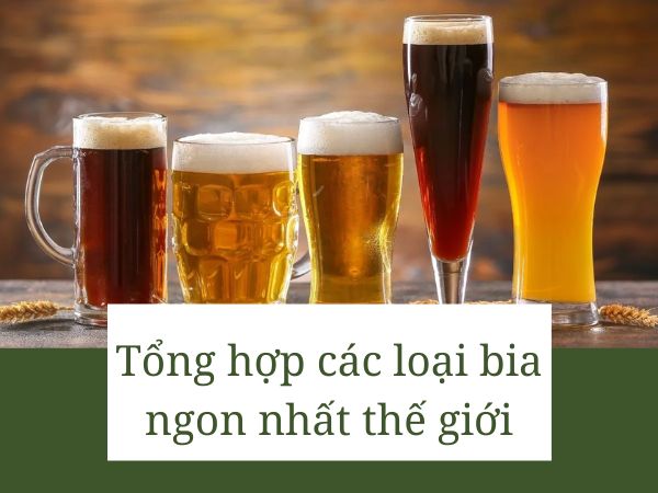Các loại bia ngon nhất thế giới được cánh màu râu yêu thích