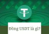 Đồng usdt là gì? Tìm hiểu những thông tin liên quan tới đồng usdt