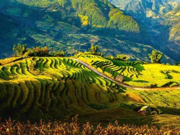 Vùng Trung du và miền núi phía Bắc
