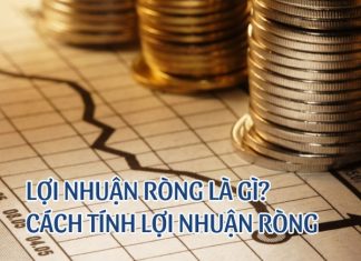 Lợi nhuận ròng là gì và cách tính lợi nhuận ròng chuẩn Lợi nhuận ròng là gì? Bật mí cách tính lợi nhuận ròng chuẩn nhất