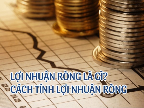 Lợi nhuận ròng là gì? Bật mí cách tính lợi nhuận ròng chuẩn nhất