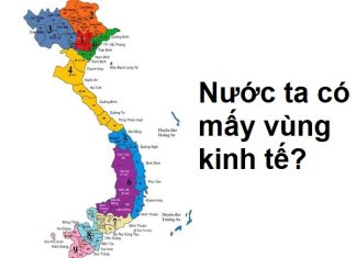 Nước ta có mấy vùng kinh tế và đặc điểm của các vùng kinh tế