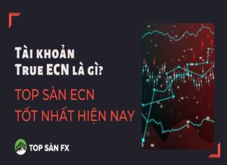 True ECN là gì? Top các sàn giao dịch ECN tốt nhất True ECN là gì? Top các sàn giao dịch ECN tốt nhất
