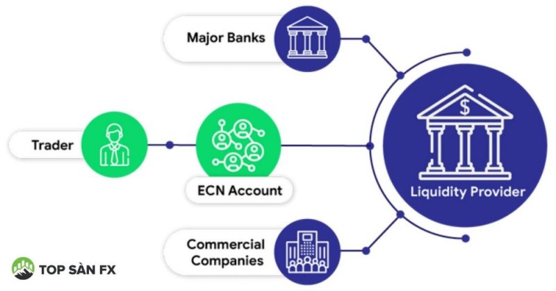 Đặc điểm của sàn True ECN Đặc điểm của sàn True ECN