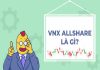 Ý nghĩa của VNX AllShare là gì?