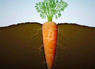 taproot là gì