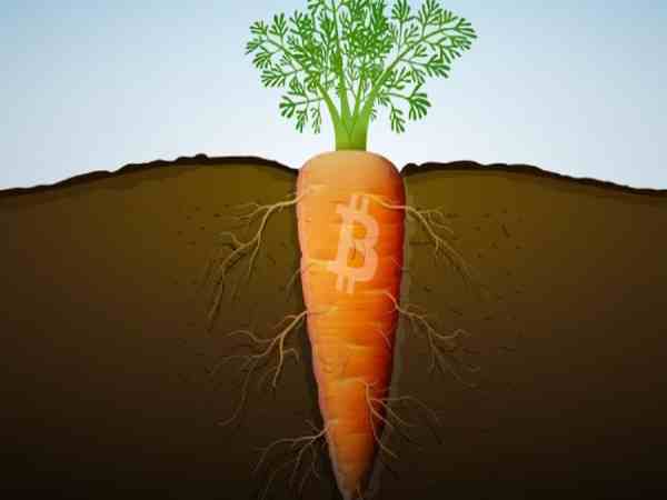 Taproot sẽ đem lại lợi ích là gì cho Bitcoin?