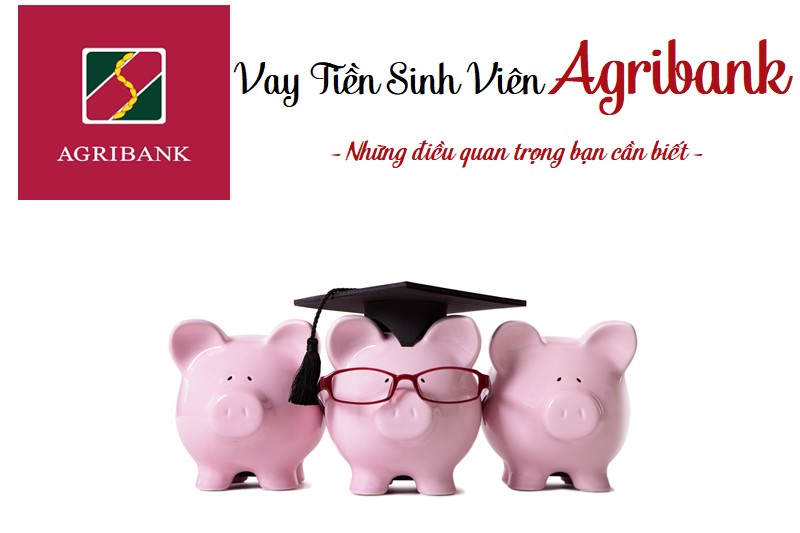 Thủ tục cần vay vốn sinh viên Agribank Thủ tục cần vay vốn sinh viên Agribank