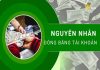 đóng băng tài khoản ngân hàng là gì