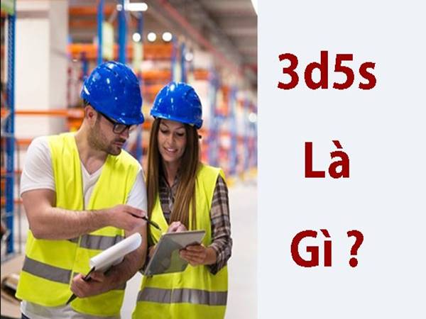 3D 5S là gì? Ý nghĩa 3D5S trong doanh nghiệp thế nào