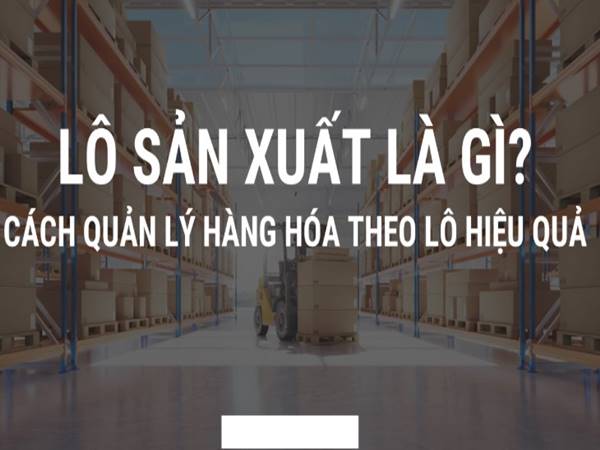 Số lô sản xuất là gì? Tìm hiểu quy trình và vai trò trong sản xuất