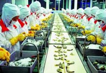 Làm sạch và sơ chế thực phẩm trong quy trình sản xuất