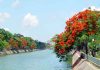Thời điểm lý tưởng để du lịch Hải Phòng