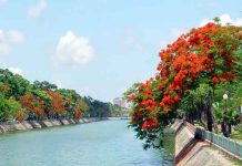Thời điểm lý tưởng để du lịch Hải Phòng