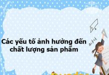 Các nhóm yếu tố ảnh hưởng đến chất lượng sản phẩm