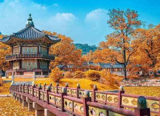 Mùa thu Hàn Quốc được nhiều người xem là mùa đẹp nhất trong năm