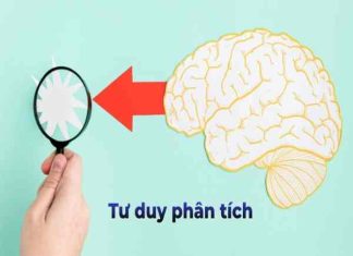 Tư duy phân tích là gì
