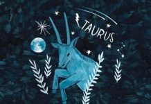 Khơi mở con số cát lành cung Kim Ngưu 22/11/2025 ngày mới