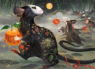 Mở vận đầu năm con số may mắn tuổi Giáp Tý ngày 1/1/2026 con số may mắn tuổi giáp tý