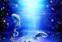 Hé lộc con số may mắn cung Song Ngư ngày 28/2 thứ Bảy con số may mắn cung Song Ngư ngày 28/2 thứ bảy