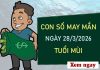 Con số may mắn hôm nay 28/3/2026 thứ 7 tuổi Mùi