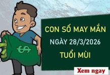 Con số may mắn hôm nay 28/3/2026 thứ 7 tuổi Mùi Con số may mắn hôm nay 28/3/2026 thứ 7 tuổi Mùi