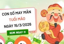 con số may mắn ngày 15/03/2026 tuổi Mão