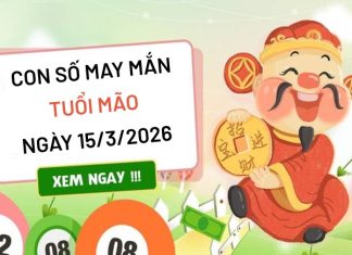 con số may mắn ngày 15/03/2026 tuổi Mão