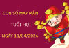 Con số may mắn ngày 11/4 mang tài lộc cho tuổi Hợi hôm nay Phân tích con số may mắn tuổi Hợi ngày 11/4 thứ 7 chi tiết nhất