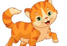 con số may mắn ngày 8/4/2026 tuổi Mão