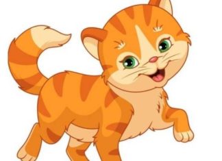 con số may mắn ngày 8/4/2026 tuổi Mão