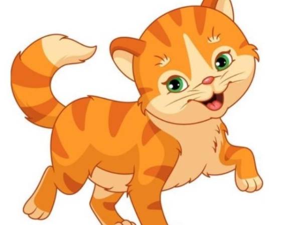 con số may mắn ngày 8/4/2026 tuổi Mão