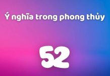 ý nghĩa số 52